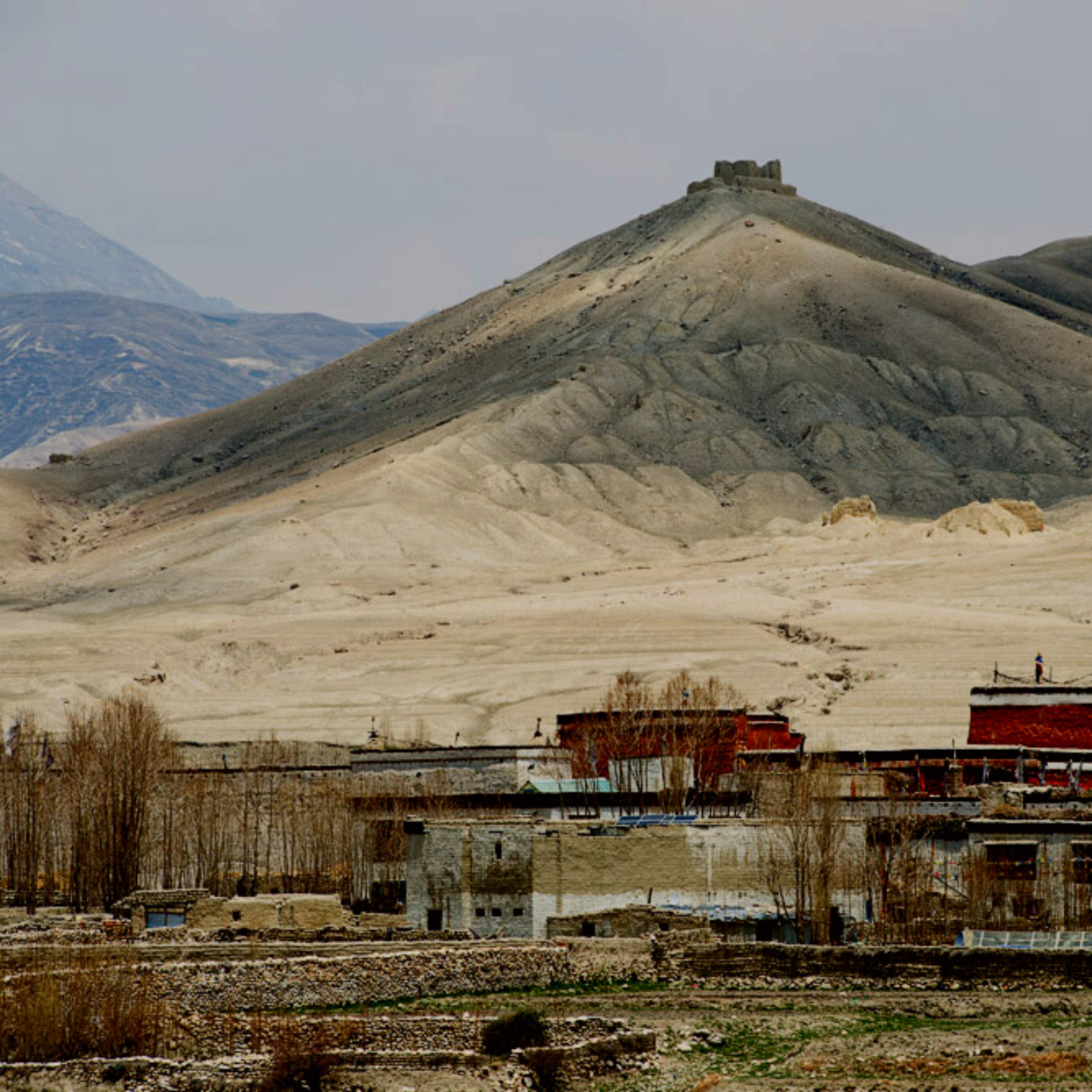 Luxury Kingdom of Mustang